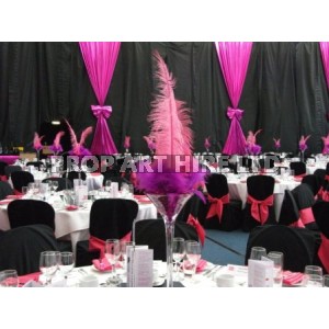 Magenta Drapes And Table Centres
